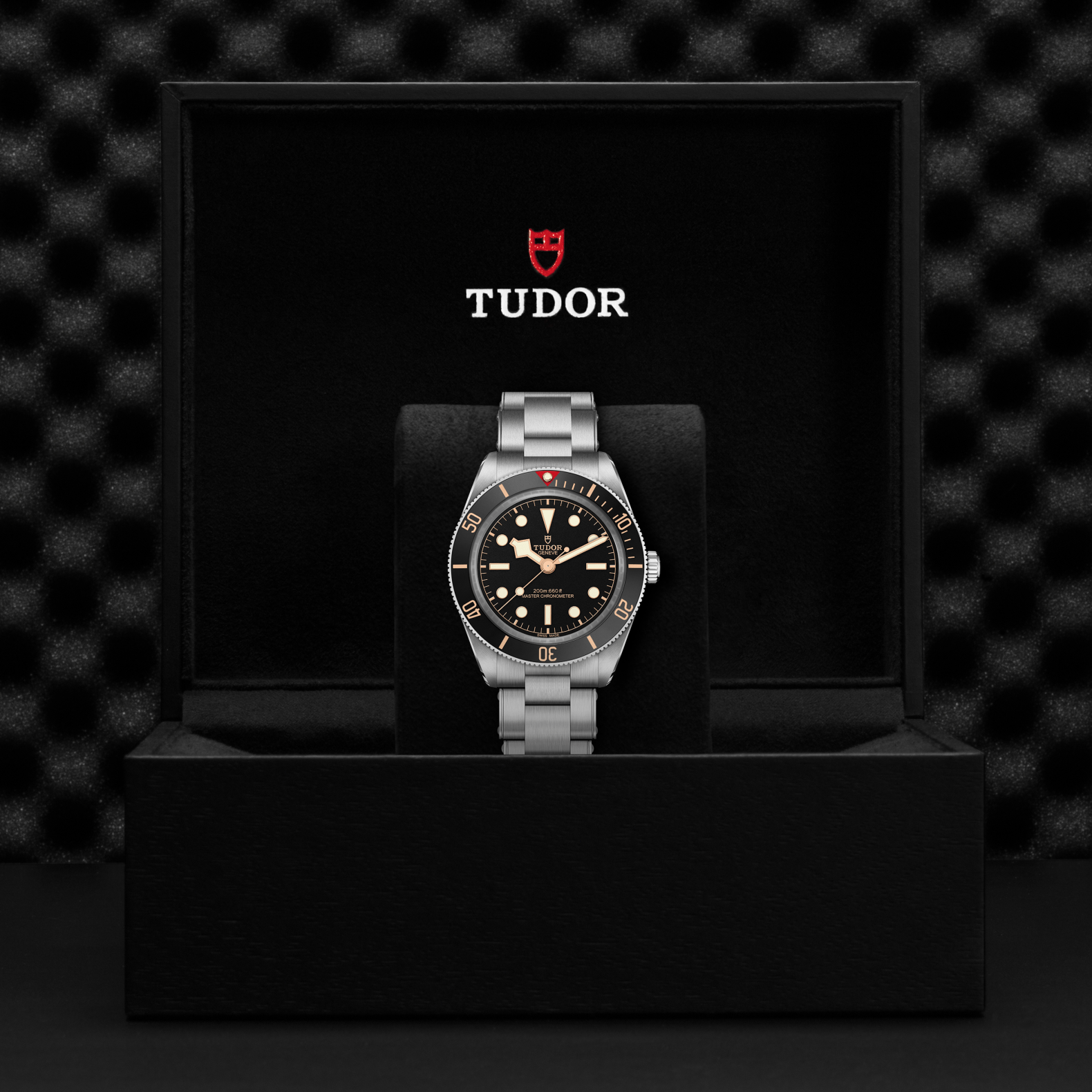 TUDOR Black Bay 58 Watch | Lee Michaels